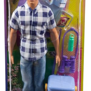 BARBIE PAPUSA KEN LA PICNIC