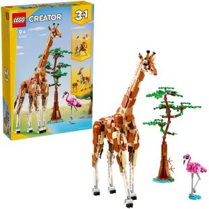 Imagine 6