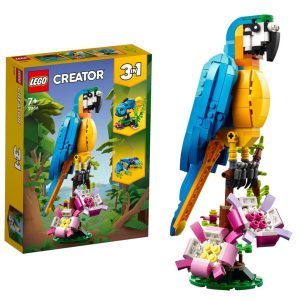 Imagine 6