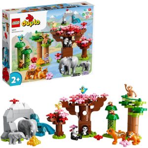 Imagine 5