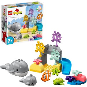 Imagine 6