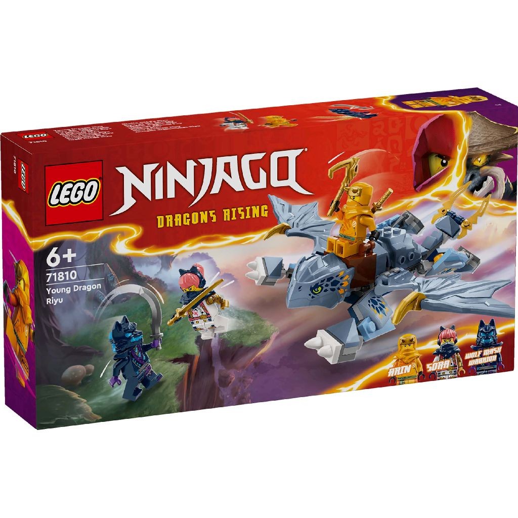 LEGO NINJAGO TANARUL DRAGON RIYU 71810