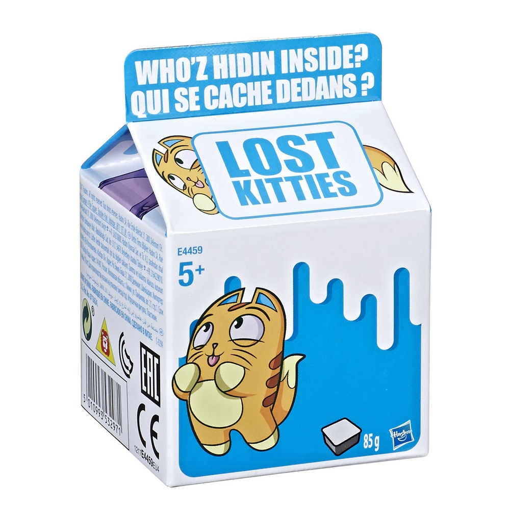 PISICI RATACITE IN CUTIE SURPRIZA