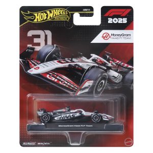 HOT WHEELS PREMIUM REAL RIDERS FORMULA 1 2024 MASINUTA METALICA MONEYGRAM HAAS F1 TEAM SCARA 1 LA 64