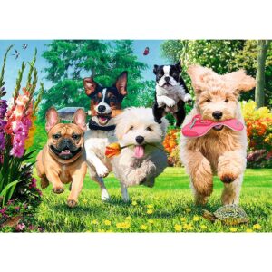 Imagine 2