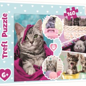 Puzzle Trefl 160 Pisici Dragalase