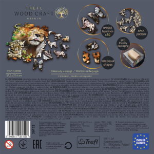 Imagine 4