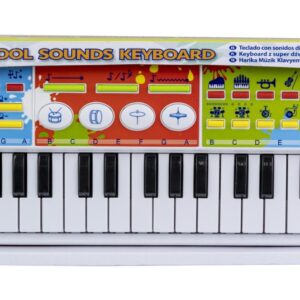 Winfun Orga Electronica 37 Taste