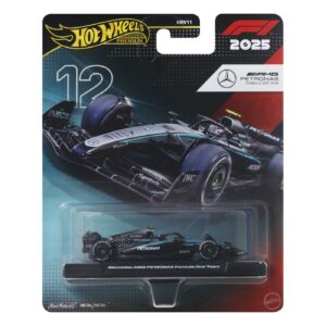 Hot Wheels Premium Real Riders Formula 1 2024 Masi MTHRV11_JKD92